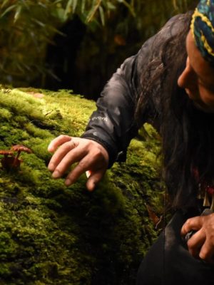 Captura de pantalla 2026-01-09 144337