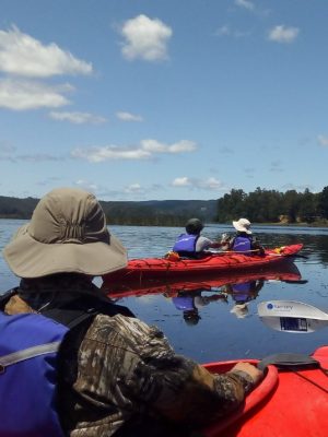 Captura de pantalla 2026-01-09 151302