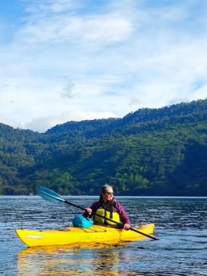 Captura de pantalla 2026-01-09 152710