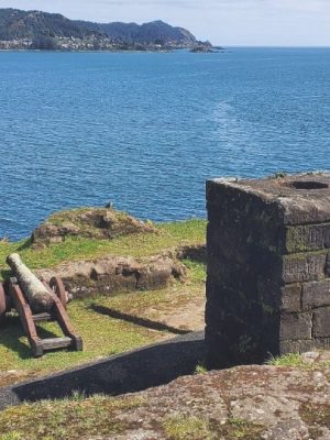 Captura de pantalla 2026-01-27 103449